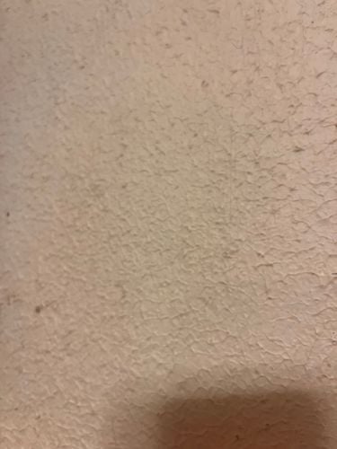 IMG_5040.jpeg IMG_5040.jpeg