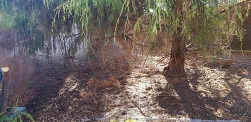 20200102_083717.jpg 20200102_083717.jpg