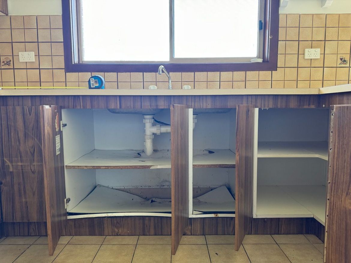 IMG_20250430_173425.jpg IMG_20250430_173425.jpg