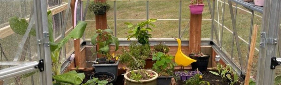 Greenhouse.jpg Greenhouse.jpg