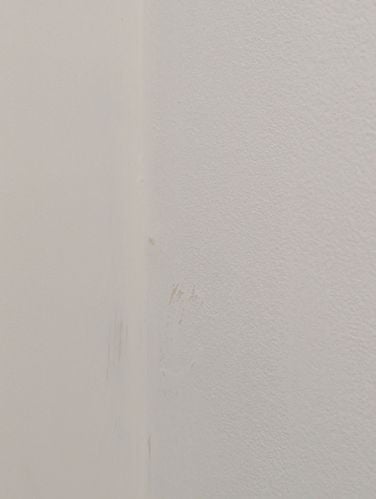 PXL_20250730_234628243.jpg PXL_20250730_234628243.jpg