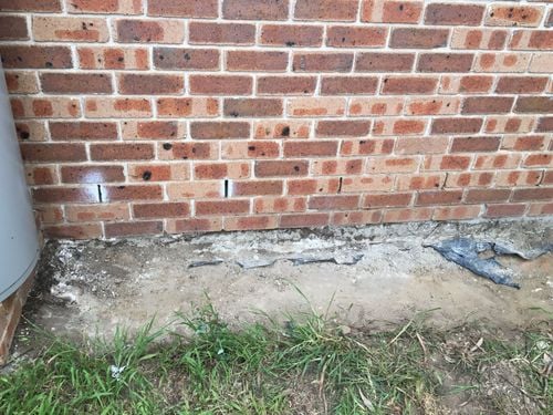 28AFE7B6-386A-4388-A885-C0642D3EBBB5.jpeg 28AFE7B6-386A-4388-A885-C0642D3EBBB5.jpeg