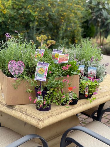 AA524EBC-2533-41EC-881A-FFC068AF32F9.jpeg AA524EBC-2533-41EC-881A-FFC068AF32F9.jpeg