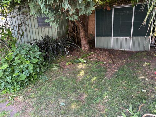 IMG_0533.jpeg IMG_0533.jpeg