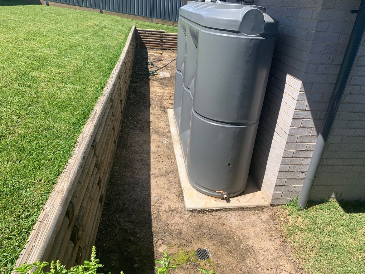 IMG_1542.JPG IMG_1542.JPG