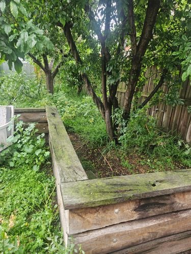 20251103_160807.jpg 20251103_160807.jpg