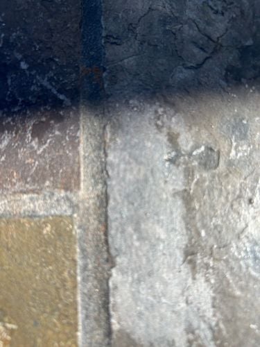 IMG_8682.jpeg IMG_8682.jpeg