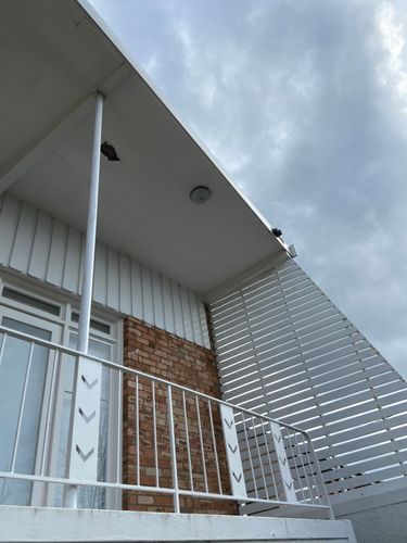 IMG_8017.jpeg IMG_8017.jpeg