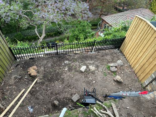 IMG_1016.jpeg IMG_1016.jpeg