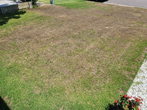 20250115_141419.jpg 20250115_141419.jpg