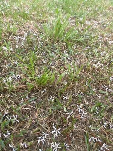 IMG_0917.jpeg IMG_0917.jpeg