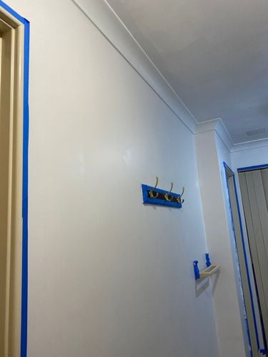 IMG_9699.jpeg IMG_9699.jpeg