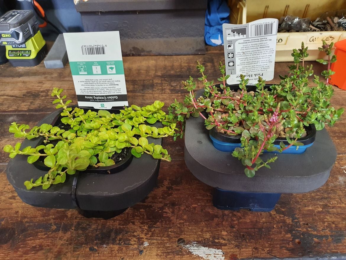 20210904_105113.jpg 20210904_105113.jpg