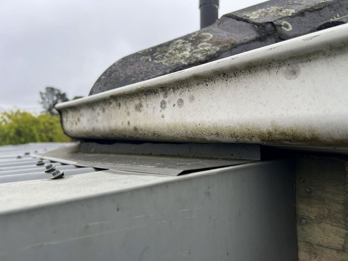 IMG_7934.jpg IMG_7934.jpg