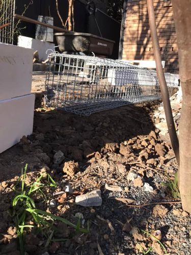 18 13-08-2022.jpg 18 13-08-2022.jpg