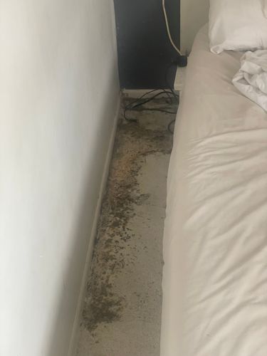 IMG_9579.jpeg IMG_9579.jpeg