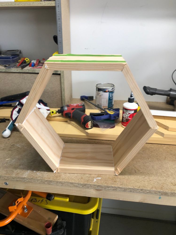 E8C90E07-D330-4269-A371-116FA4156B83.jpeg E8C90E07-D330-4269-A371-116FA4156B83.jpeg