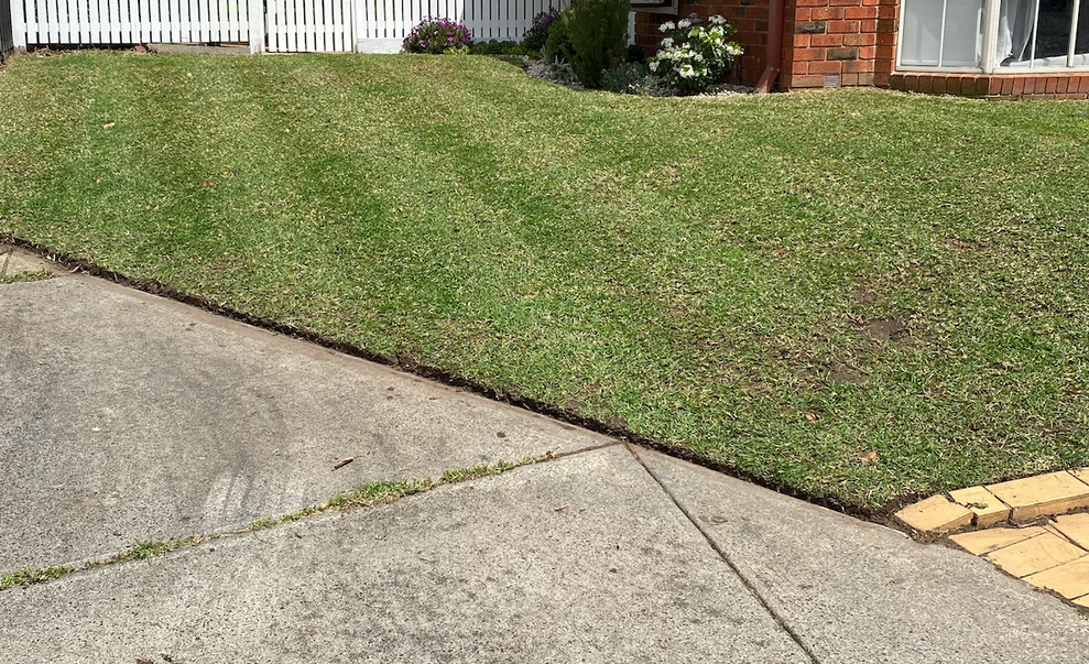 I_MG_3131.png I_MG_3131.png