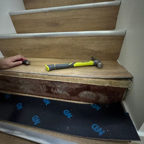 IMG_8263.jpeg IMG_8263.jpeg