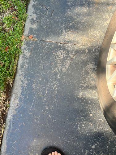 IMG_9887.jpeg IMG_9887.jpeg