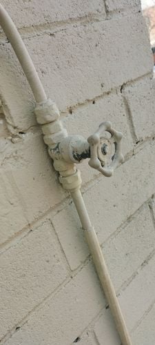 IMG20240910110114.jpg IMG20240910110114.jpg