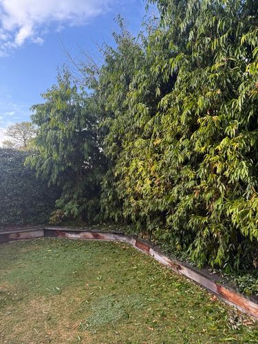 gt8_1-1751847084892.jpeg gt8_1-1751847084892.jpeg