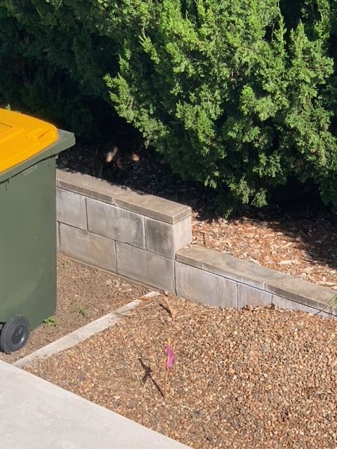 image1.jpeg image1.jpeg