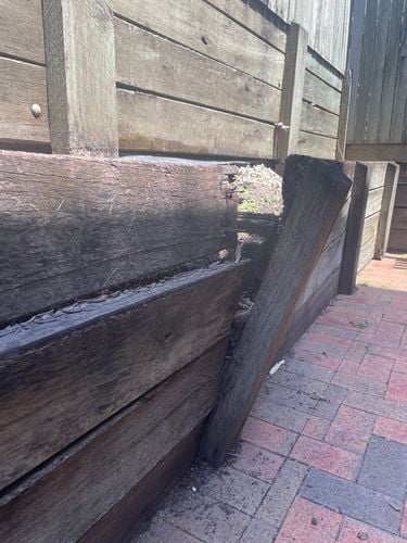 IMG_0901.jpeg IMG_0901.jpeg