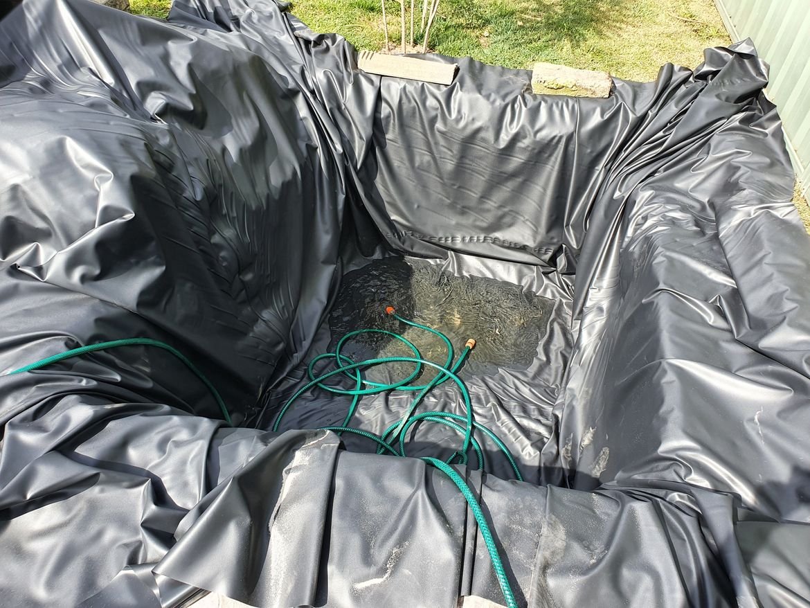 20210904_104733.jpg 20210904_104733.jpg