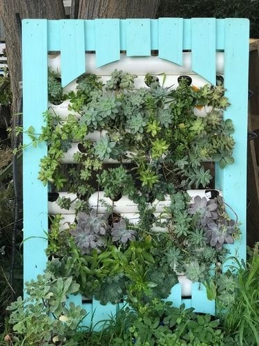 474DE864-E9B4-405A-B599-67EFE1081F45.jpeg 474DE864-E9B4-405A-B599-67EFE1081F45.jpeg