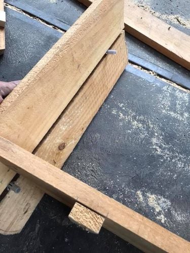 A61C36E8-9DB3-4707-982C-E3427FE44A9A.jpeg A61C36E8-9DB3-4707-982C-E3427FE44A9A.jpeg