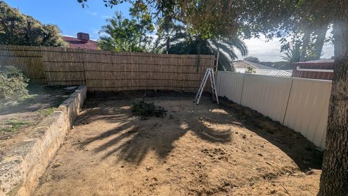 1000035401.jpg 1000035401.jpg