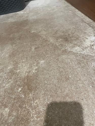 IMG_9538.jpeg IMG_9538.jpeg