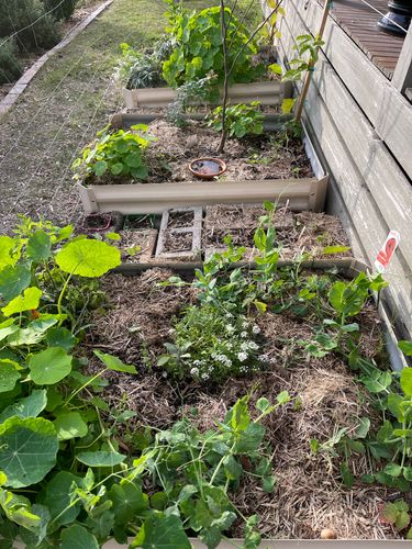 E9B7751C-610F-44F0-912D-60C479BD57B6.jpeg E9B7751C-610F-44F0-912D-60C479BD57B6.jpeg