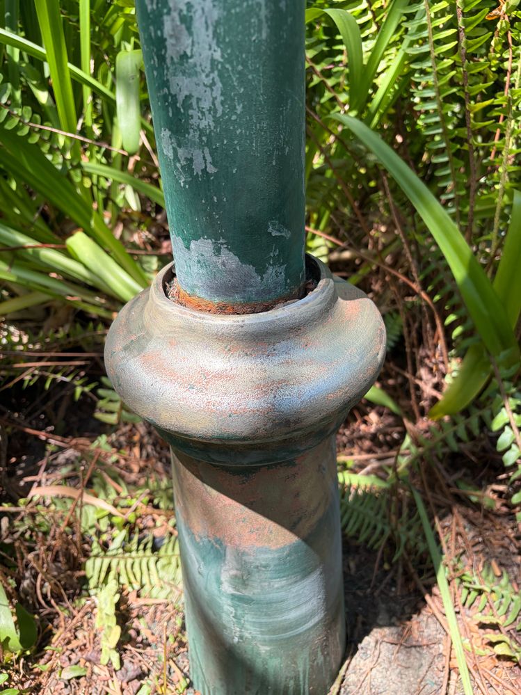 IMG_8396.jpeg IMG_8396.jpeg