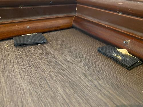 IMG_4986.jpeg IMG_4986.jpeg