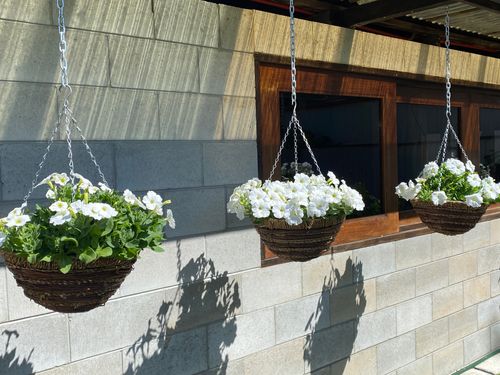 8CFC355F-FBB2-4EF0-A09D-C6AC4CC3F263.jpeg 8CFC355F-FBB2-4EF0-A09D-C6AC4CC3F263.jpeg