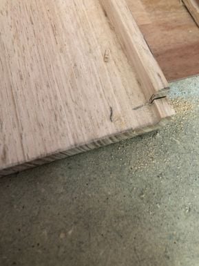 JoeAzza_6-1669279337874.jpeg JoeAzza_6-1669279337874.jpeg