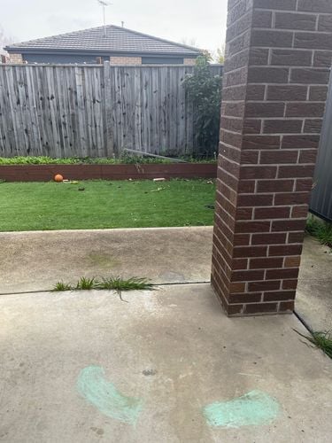 IMG_0222.jpeg IMG_0222.jpeg