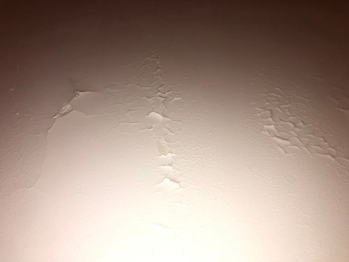 IMG_4526.jpeg IMG_4526.jpeg