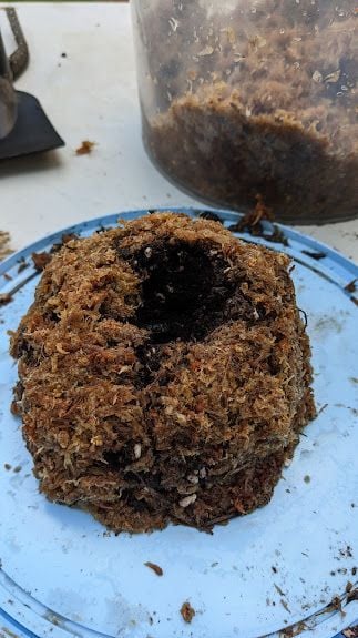 PXL_20240727_053544016.jpg PXL_20240727_053544016.jpg