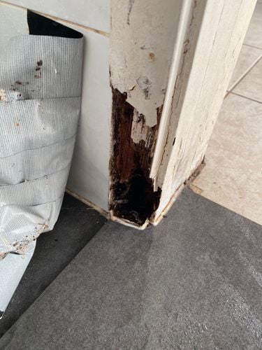 A96C7702-8085-4603-9232-283F625BA91E.jpeg A96C7702-8085-4603-9232-283F625BA91E.jpeg