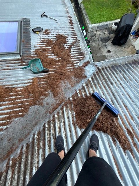 IMG_6423 Medium.jpeg IMG_6423 Medium.jpeg