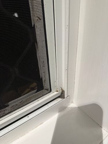 IMG_2653.jpeg IMG_2653.jpeg