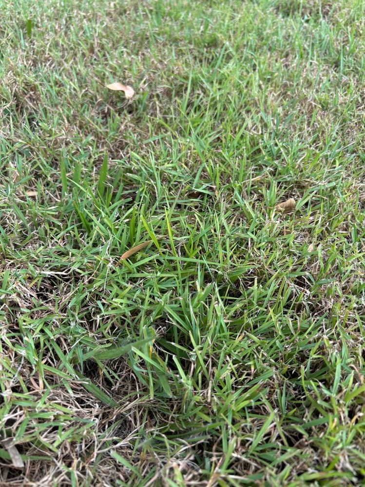 20241001_224904860_iOS.jpg 20241001_224904860_iOS.jpg