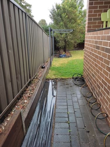 IMG_20220703_111808.jpg IMG_20220703_111808.jpg