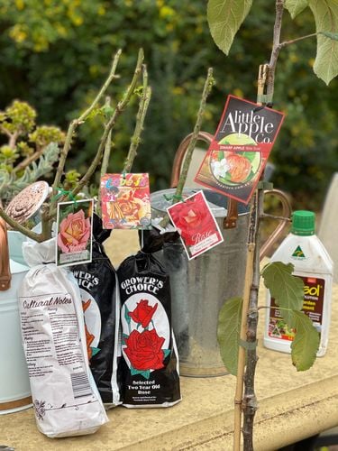 2E303736-0FD0-4B8F-8636-89082202644F.jpeg 2E303736-0FD0-4B8F-8636-89082202644F.jpeg