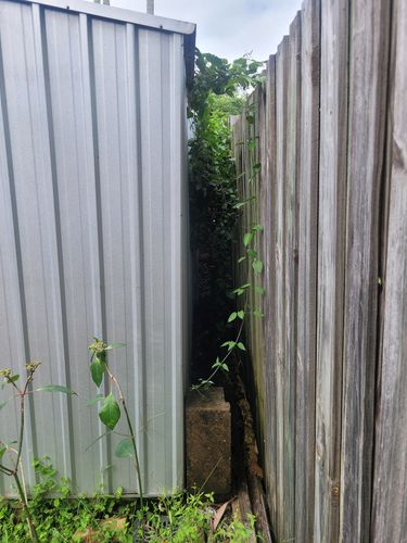 20240407_123921.jpg 20240407_123921.jpg