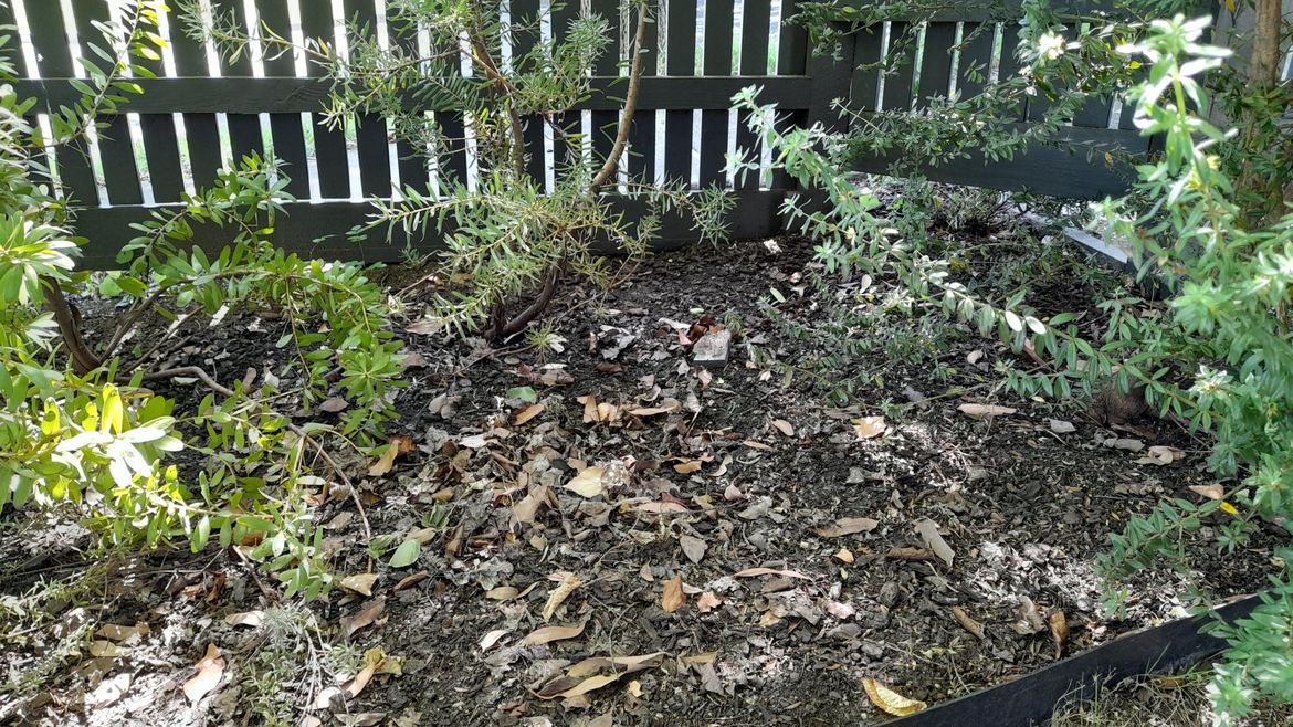 20260102_154538.jpg 20260102_154538.jpg