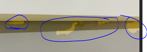 Sugar_10-1724246408688.png Sugar_10-1724246408688.png